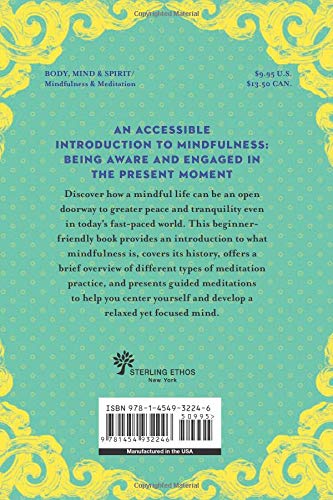 A Little Bit of Mindfulness: An Introduction to Being Present