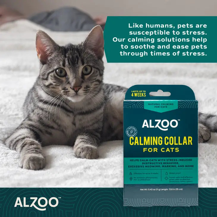 Calming Collar for Cats